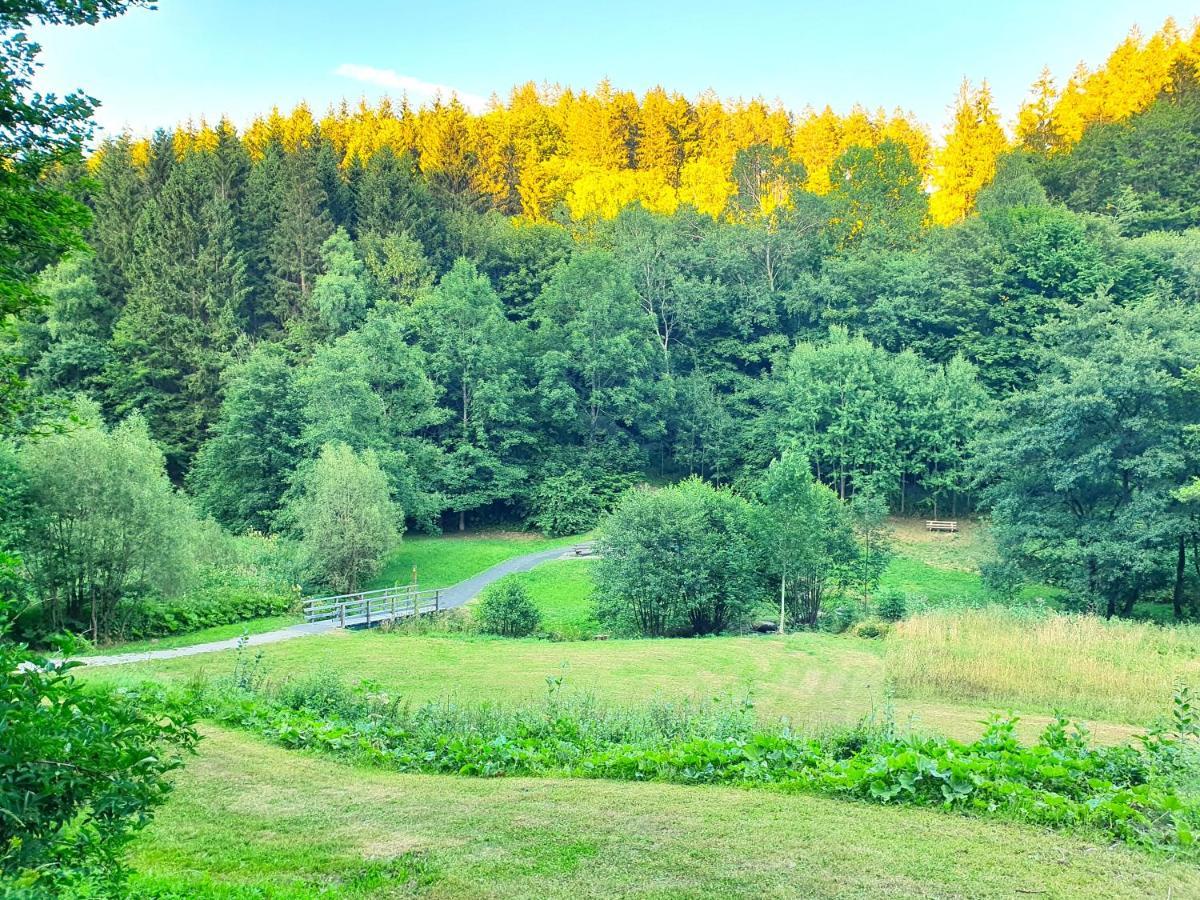 Ferienhaus Grimme - 350M2, 18 Betten - Mit Indoorspielplatz, Pool, Grosser Terrasse, Grill, Sauna, Kicker, Dart, Uvm - Ideal Fuer Familien Шмалленберг Екстер'єр фото