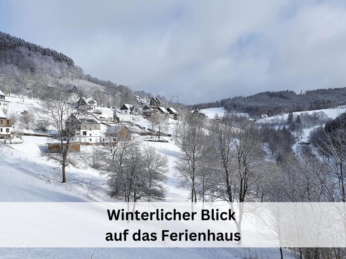 Ferienhaus Grimme - 350M2, 18 Betten - Mit Indoorspielplatz, Pool, Grosser Terrasse, Grill, Sauna, Kicker, Dart, Uvm - Ideal Fuer Familien Шмалленберг Екстер'єр фото