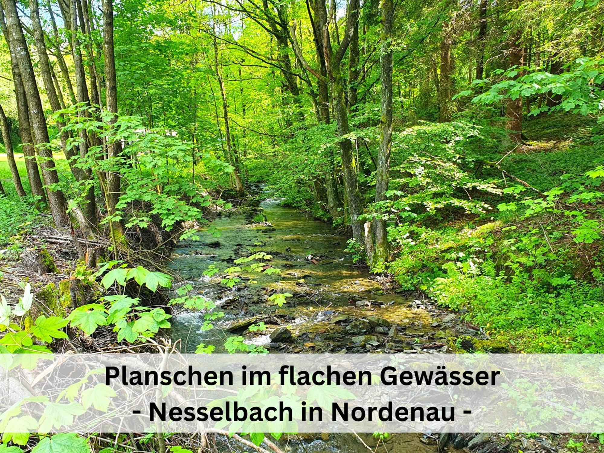 Ferienhaus Grimme - 350M2, 18 Betten - Mit Indoorspielplatz, Pool, Grosser Terrasse, Grill, Sauna, Kicker, Dart, Uvm - Ideal Fuer Familien Шмалленберг Екстер'єр фото